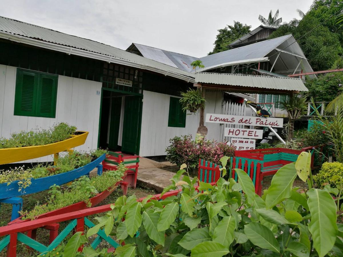 Hotel Lomas Del Paiyue Puerto Nariño Esterno foto