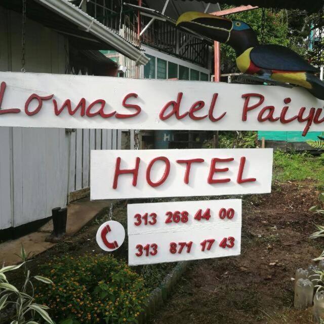 Hotel Lomas Del Paiyue Puerto Nariño Esterno foto